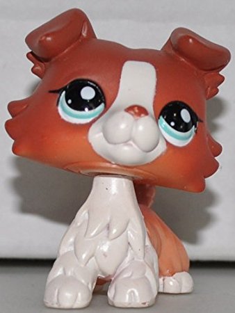 Collie #1542 (COPPER & WHITE COLLIE DOG RED Blue EYES) Littlest Pet Shop (Retired) Collector Toy - LPS Collectible Replacement Single Figure - Loose (OOP Out of Package & Print)