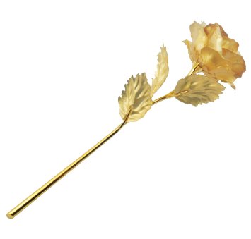 ZJchao 24k Gold Dipped Rose Flowers 10 Long Stem