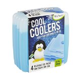 Fit and Fresh Cool Coolers Slim Lunch Ice Packs - Set of 4