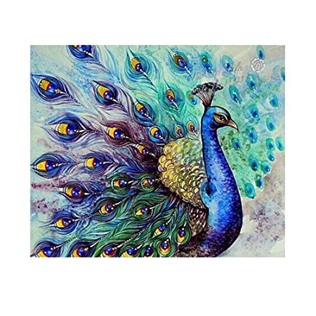 Diamond Painting Peacock Flaunting Its Tail 5D Diamond DIY Painting Craft Kit Amazingdeal365 Home Decor