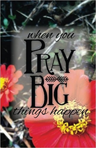 PRAY big: A 6-Week Prayer Journal