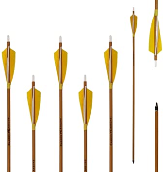 Letszhu Archery Carbon Arrows 500 Spine with Helical Real Feathers and Removable Tips for Compound Recurve Bow (6 Pack)