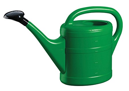Stewart 2463019 5 Litre Essential Watering Can - Green