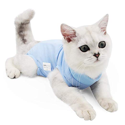 Cat Professional Recovery Suit for Abdominal Wounds or Skin Diseases, E-Collar Alternative for Cats and Dogs, After Surgery Wear, Home Clothing
