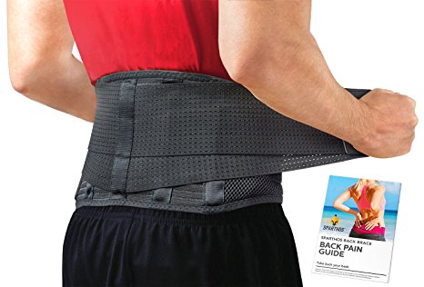 Lumbar Support Belt by Sparthos - Relief for Back Pain, Herniated Disc, Sciatica, Scoliosis and more! – Breathable Mesh Design with Lumbar Pad – Adjustable Support Straps – Lower Back Brace [L]