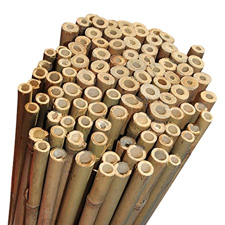 Elixir Gardens Strong Heavy Duty Professional Bamboo Plant Support Garden Canes | 8ft x 40