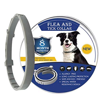 FENGHUA GLASS HOME Flea Tick Prevention Dog Collar,Waterproof Flea Collar,Safe & Effective for Dogs