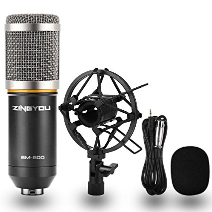 ZINGYOU BM-800 Condenser Microphone, Cardioid Studio Recording Microphone with Shock Mount, XLR Cable (Silver)