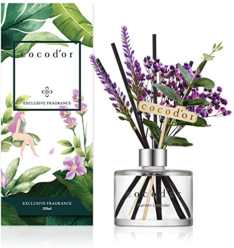 Cocod'or Lavender Reed Diffuser/Garden Lavender / 6.7oz(200ml) / 1 Pack/Home Decor & Office Decor, Fragrance and Gifts