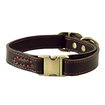 wangstar Luxury Real Leather Dog Collar, Heavy Duty Buckle Dog Leather Collar for Small Medium Large Dogs, Stylish Design with Strong Quick Release Brass Buckle