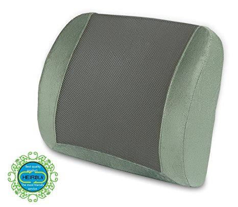 Lumbar Support Back Cushion - HEIRBLS Memory Foam Lumbar Pillow Orthopedic Design for Back Pain Relief ( Gray )
