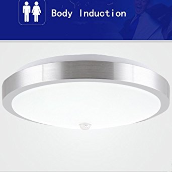 AFSEMOS 10-inch PIR Motion Sensor LED Ceiling Light, Human Body Infrared Detector Motion Switch,12W LED Wall Sconce Night 960LM,Light For Hallway Corridor Stairs Children Room