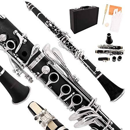 LAGRIMA Black Ebonite B Flat Clarinet with 2 Barrels, Case, Mouthpiece, Care Kit, Glove, Screwdriver and Soft Cleaning Cloth for Students Beginner Adult