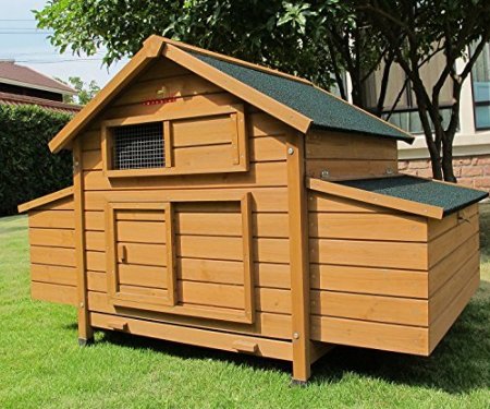 Chicken Coops Imperial Savoy Large Chicken Coop Suitable For Up to 10 Birds Depending On Size