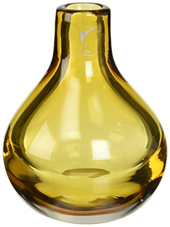 CASAMOTION Hand Blown Art Solid Color Glass Bud Vase, Gift Box, Amber