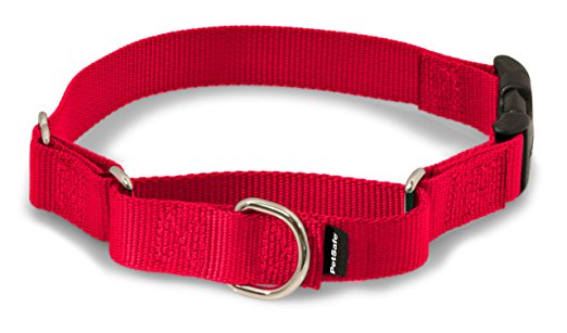PetSafe Martingale Dog Collar with Quick Snap Buckle