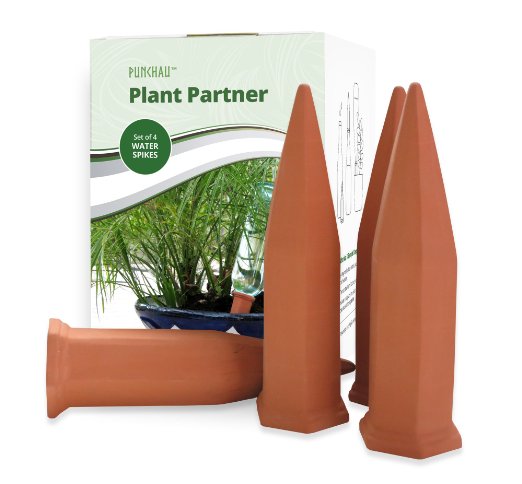 Terracotta Plant Waterer - Perfect for Vacation Plant Watering