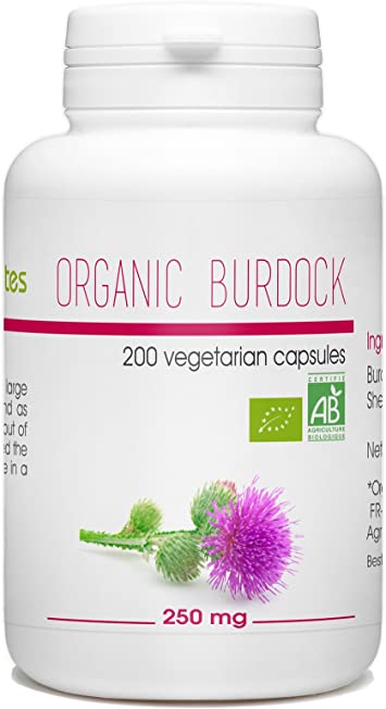 Organic Burdock Root - 250mg - 200 Vegetable Capsules