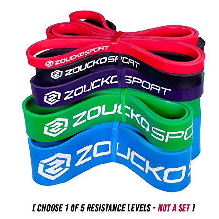Pull Up Assist Band - Resistance Exercise Bands by ZOUCKO SPORT - Great for Stretch, Powerlifting, Physical Therapy, Mobility Workout, Crossfit - Carry Bag & E-Guide Included - SINGLE BAND, NOT A SET
