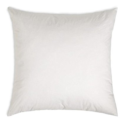Polyester Pillow Form Insert (16x16 Square) by semouna's