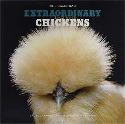 Extraordinary Chickens 2019 Wall Calendar