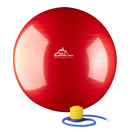 2000lbs Static Strength Exercise Stability Ball with Pump