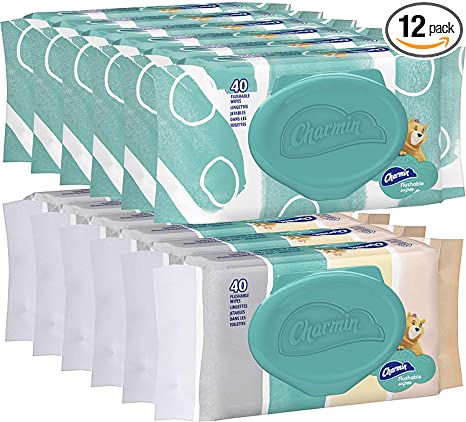 Charmin Freshmates Flushable Wet Wipes for Adults, 12 Resealable Packs, 40 Wipes Per Pack (480 Wipes Total)
