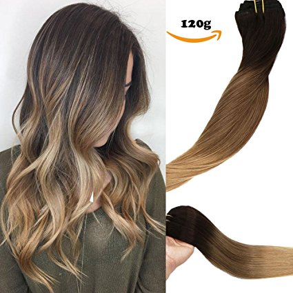 Clip In Human Hair Extensions Double Weft Brazilian Hair 120g 7pcs Dark Brown Fading to Chestnut Brown and Ash Brown Highlighted Full Head Silky Straight 100% Human Hair Clip In Extensions 16 Inch