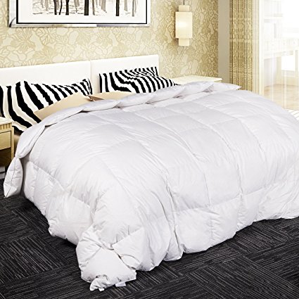 ARCESS Hypoallergenic Down Alternative Comforter, Queen Bed Comforter, All Season Bedding Duvet Insert with Corner Duvet Tabs, Fluffy, Warm and Soft, Queen, White