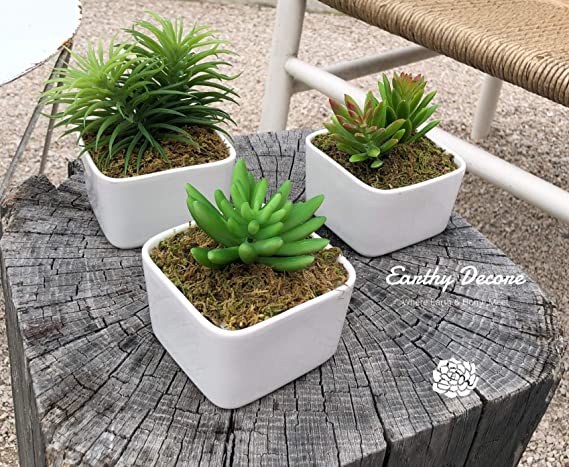 High End Mini Faux Succulents -X2 Bigger- ​Set of 3 Mini ​Fake Cactus for Decoration - Artificial Potted Decor for Desk, House, Office ​or​ Indoor (Square Pot)