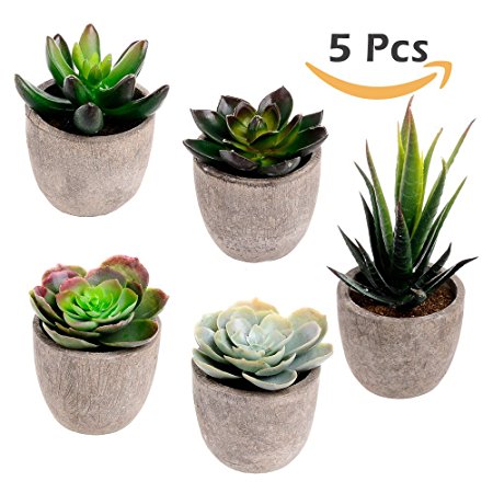 Assorted Decorative Faux Succulent Artificial Succulent Cactus Fake Cacti Plants with Gray Pots, Set of 5