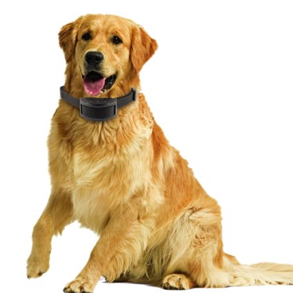 No Bark Collar - ShenKey® Dog Anti-Bark Collar with 7 Levels Adjustable Sensitivity Control for 10-120 Pounds Dogs, Electric Anti Bark Shock Collar with No Harm Warning Beep for Small Dog & Large Dog