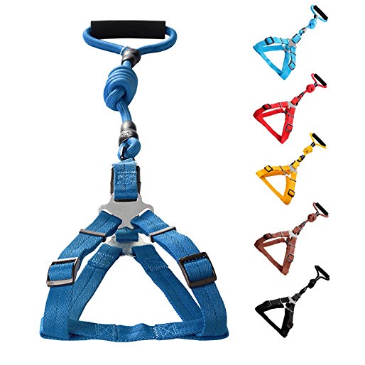 Vicform Dog Harness & Leash Set: for Walking, Jogging, and Training your Pet- Heavy Duty Poly/Nylon Straps/ Anti-Twist Leash on Spin Clasp- Durable Braid Leash / Comfort Foam Handle/ Bright Colors