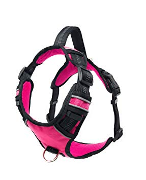 Black Rhino - The Comfort Dog Harness with Mesh Padded Vest for Small - Large Breeds | Adjustable | Reflective | 2 Leash Attachments on Chest & Back - Neoprene Padded Training Handle for Easy Control
