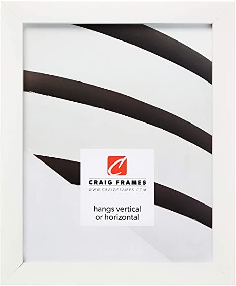 Craig Frames Confetti, Modern White Picture Frame, 16 x 24 Inch