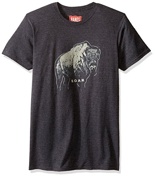 Hanes Men's Graphic T-Shirt - Rugged Outdoor Collection