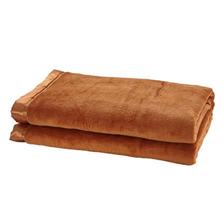LILYSILK 100% Mulberry Silk Blanket Silk Throw (Queen, Orange)
