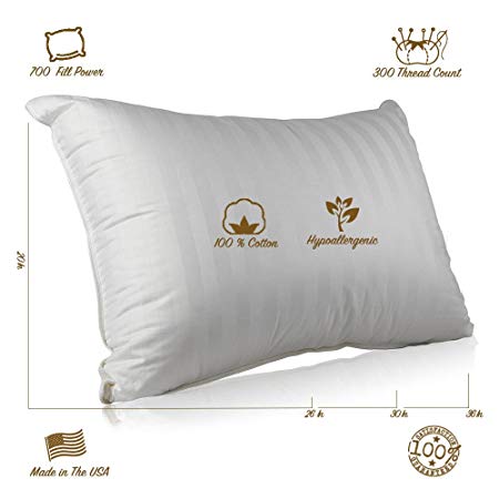 Continental Bedding Superior 100% Down 700 Fill Power Hungarian White Goose Down Pillow (Standard)