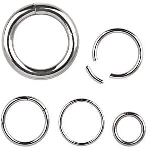 WildKlass Jewelry Septum Ring 16G 14G 12G 10G 8G Steel Segment Seamless Nose Hoop