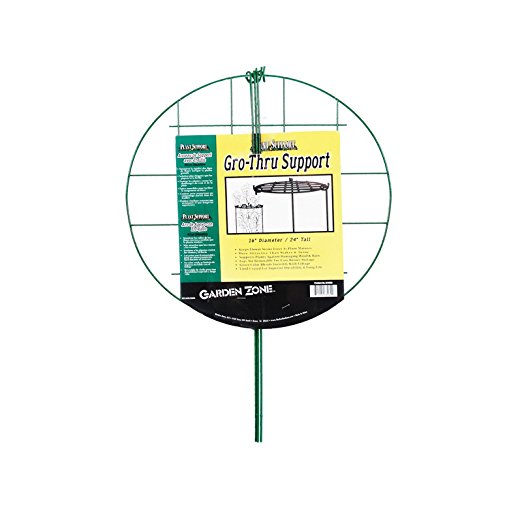 Origin Point 631630 16 Inch GroTall Plant GroThru Support, Green