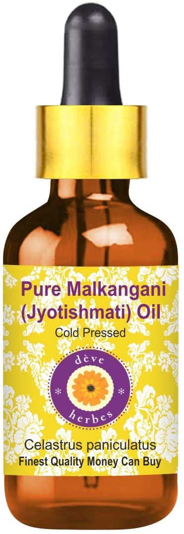 Deve Herbes Pure Malkangani (Malkangni / Jyotishmati) Oil (Celastrus paniculatus) 100% Natural Therapeutic Grade Cold Pressed 50ml (1.69 oz)