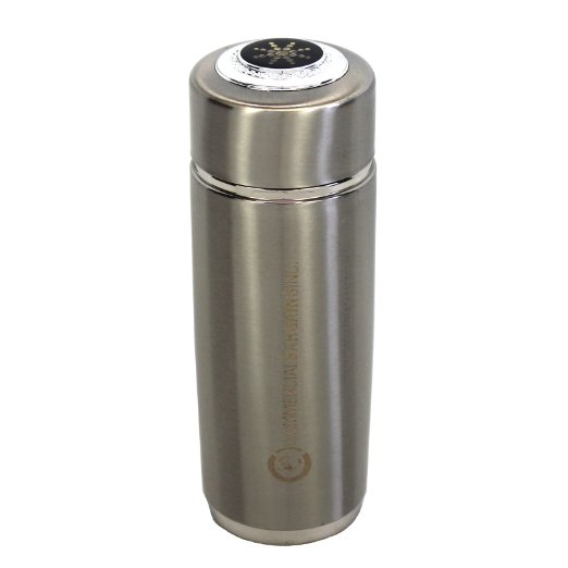 Silver Alkaline Energy Flask Ionizer Water Bottle Ion pH Booster with Case NEW