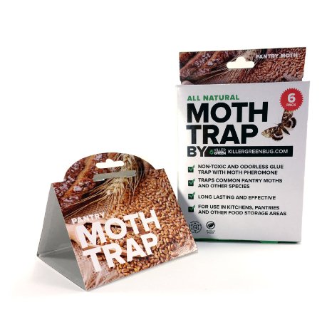 Pantry Moth Trap With Pheromone Attractant by Killer Green - 6 Pack - All Natural and 100 Guaranteed Money Back