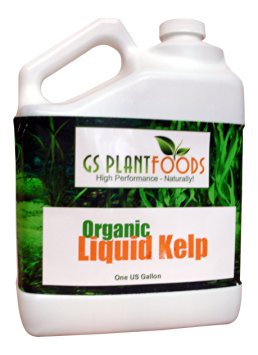 Liquid Kelp Organic Seaweed Fertilizer 1 Gallon