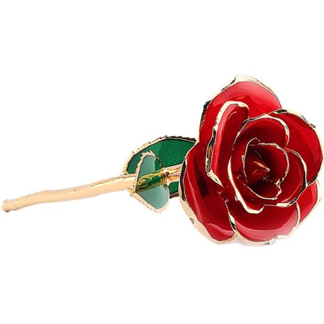 Valentines Day Red Rose Love Forever Rose Dipped In 24k Gold Best Gifts For Mothers Day Anniversary Birthday
