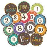 Huge sale StickNsnapTM Happy Colors milestones monthly growth stickers for baby boy or girl 325 inch diameter sticker To put on shirt bodysuit creeper bibs bottoms or ONESIE Use every month to take pictures and add to scrapbook as keepsake Use as baby shower gift or baby room dcor Bright bold colors Happy Colors - 15 Pack