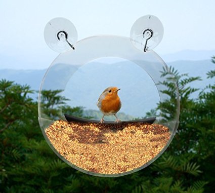 Premium Round Window Bird Feeder by Contempo Creatures