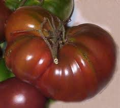 VEGETABLE TOMATO BLACK FROM TULA 150 FINEST SEEDS