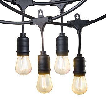 LED String Lights, TaoTronics Commercial Grade Decorative Light with Dual Loop Design, 16x S14 LED 2W Energy Saving Patented Bulbs, 49 ft/15 m ETL Approved Weatherproof Strand for Indoors and Outdoors