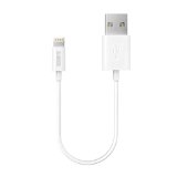 iPhone Lightning Cable Apple MFi Certified Anker 1ft  03m Extra Short Tangle-Free Lightning to USB Cable with Ultra Compact Connector Head for iPhone 6 iPhone 6 Plus iPod and iPad White